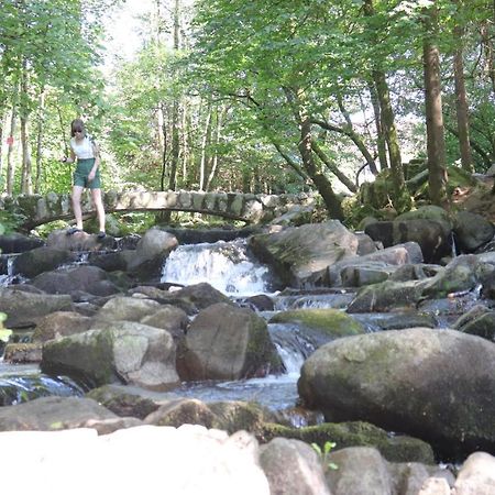 Chalet Des Rochires Gerardmer Bagian luar foto